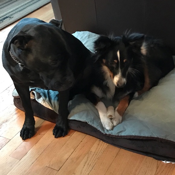 Meet your Posher, Hae - Picture 1 of 1